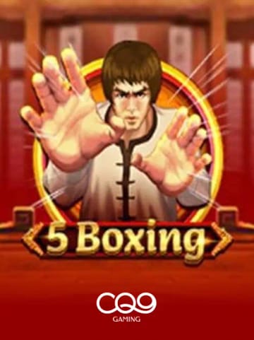 5 Boxe
